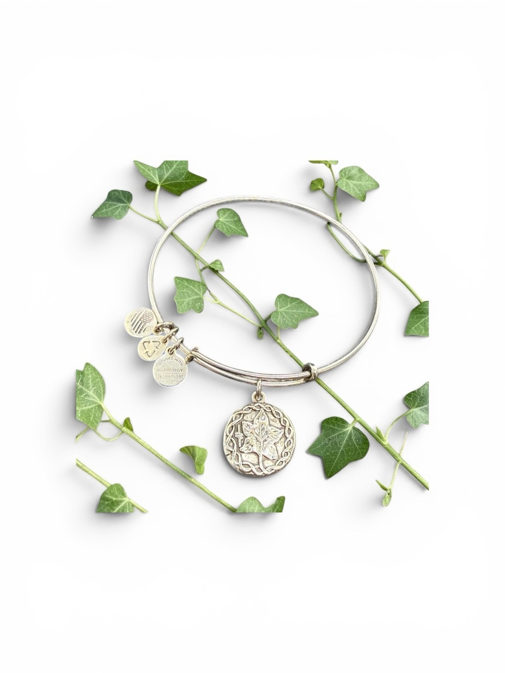 🏷️‼️5/$25🏷️‼️💚ALEX & ANI💚Ivy Charm Bangle in Rafaelian Silver/EUC - Picture 3 of 3